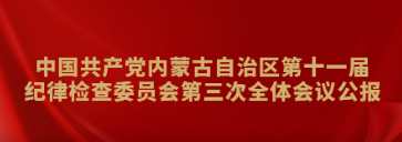 中国共产党内蒙古自治区第十一届纪律检查委员会第三次全体会议公报
