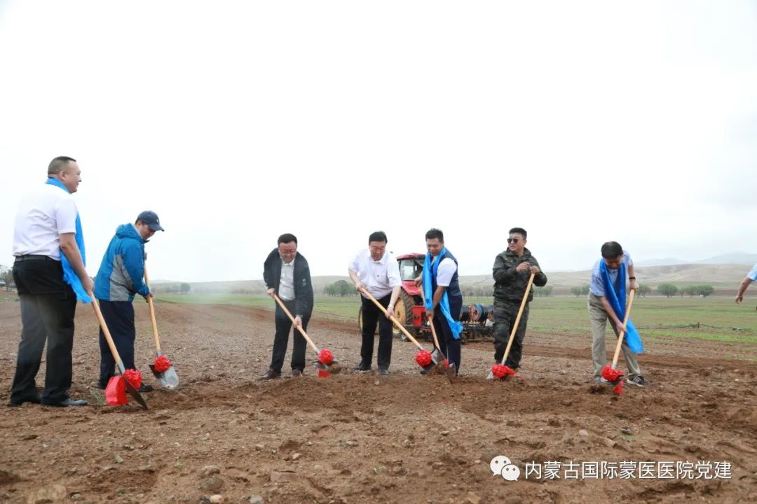 内蒙古国际蒙医医院百草种植启动仪式在武川县举行