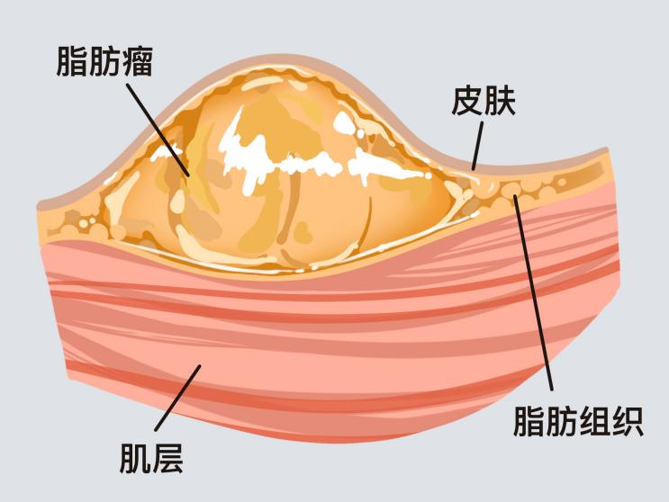 微信图片_20250513083551.png
