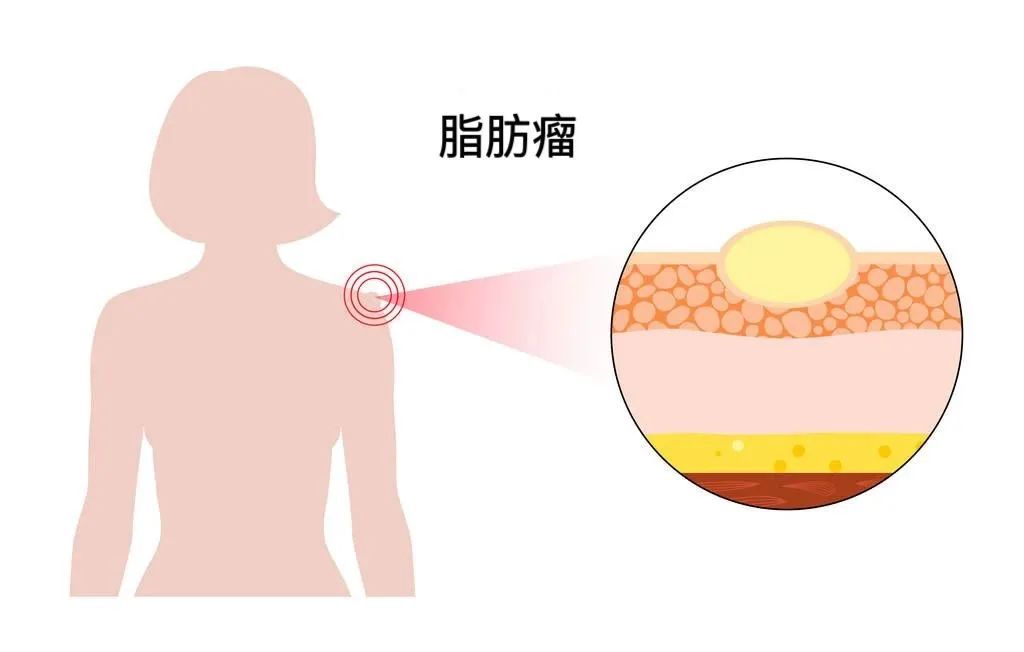 微信图片_20250513083441.jpg