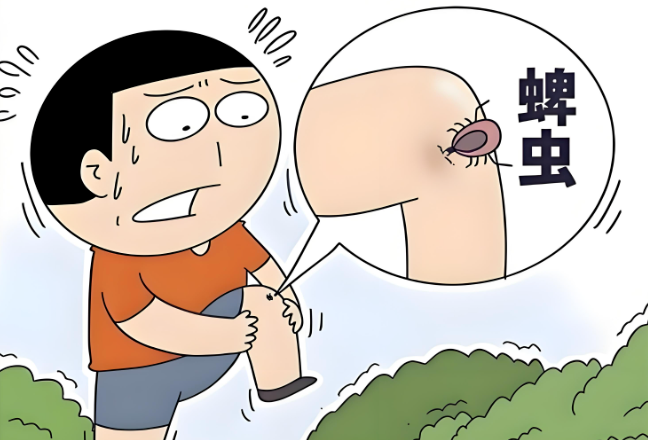 微信图片_20250626085541.png