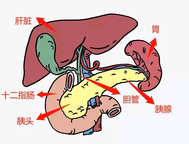 微信图片_20250625160255.png