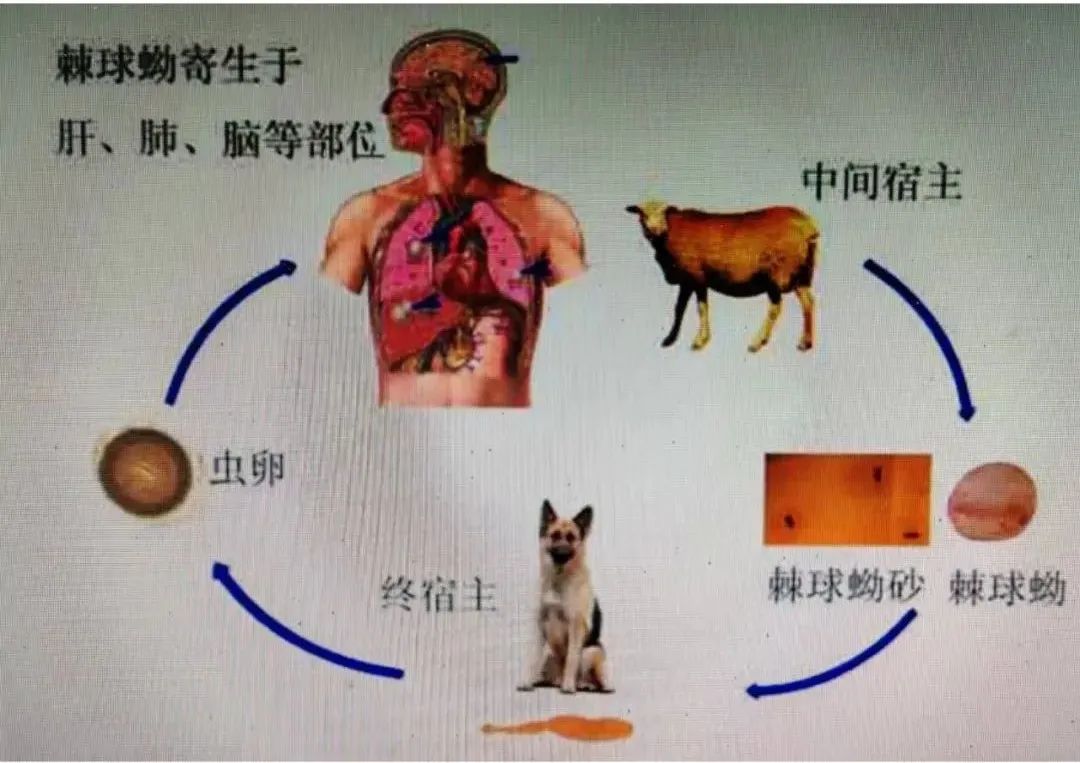 图片666.jpg
