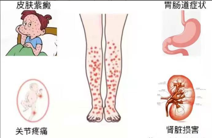 微信图片_20250714094405.png