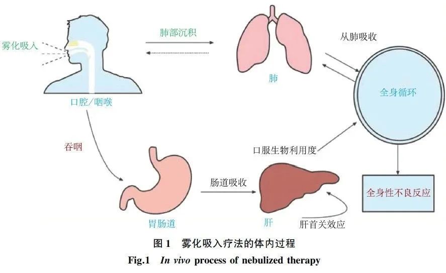 微信图片_20250804105414.jpg
