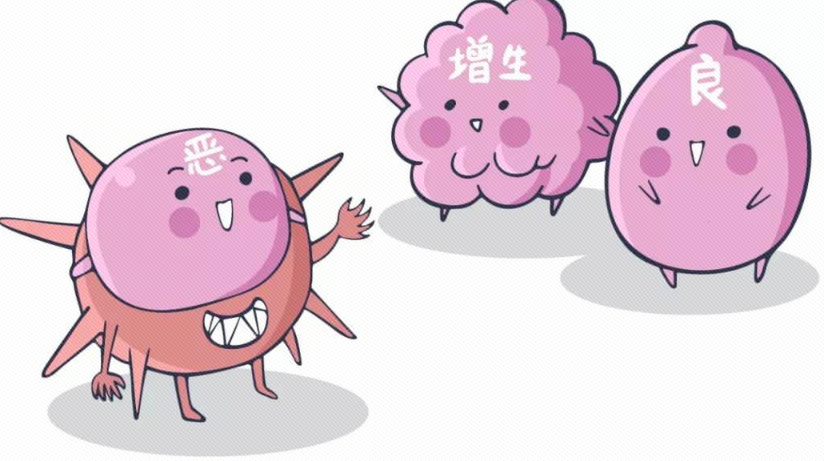 微信图片_20250805101020.png