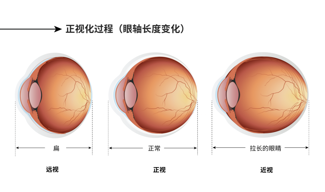 微信图片_20250807092530.png