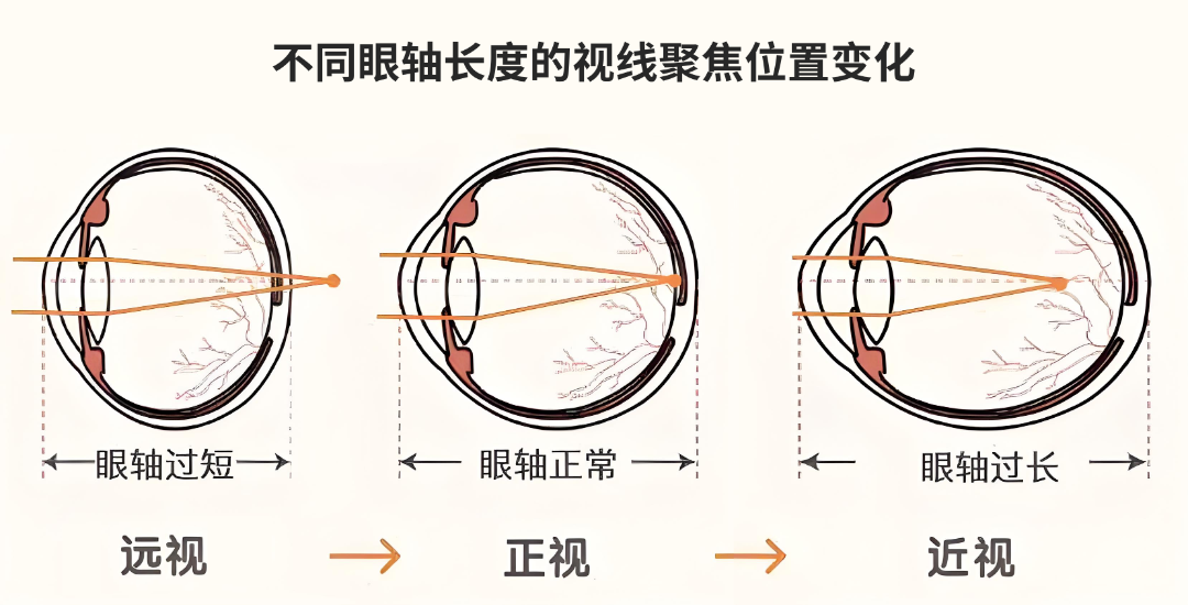 微信图片_20250807092536.png
