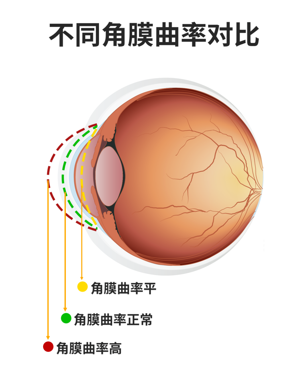微信图片_20250807092543.png
