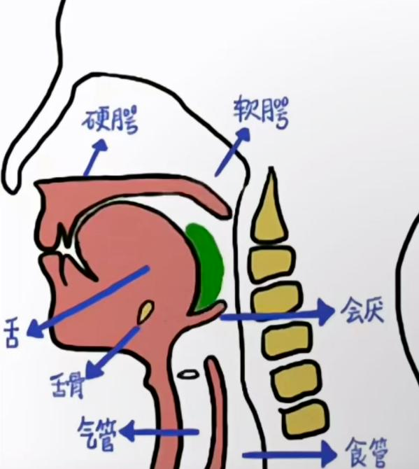 微信图片_20250813104310.png