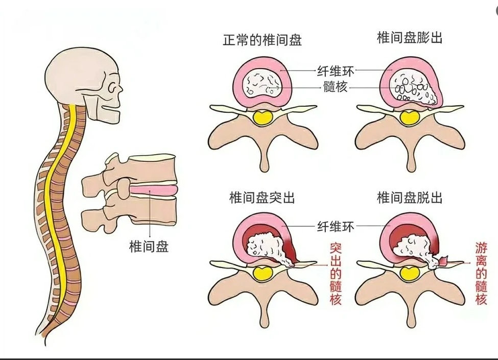微信图片_20250827103844_39_132.png