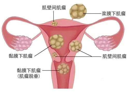 微信图片_20250825103643.jpg