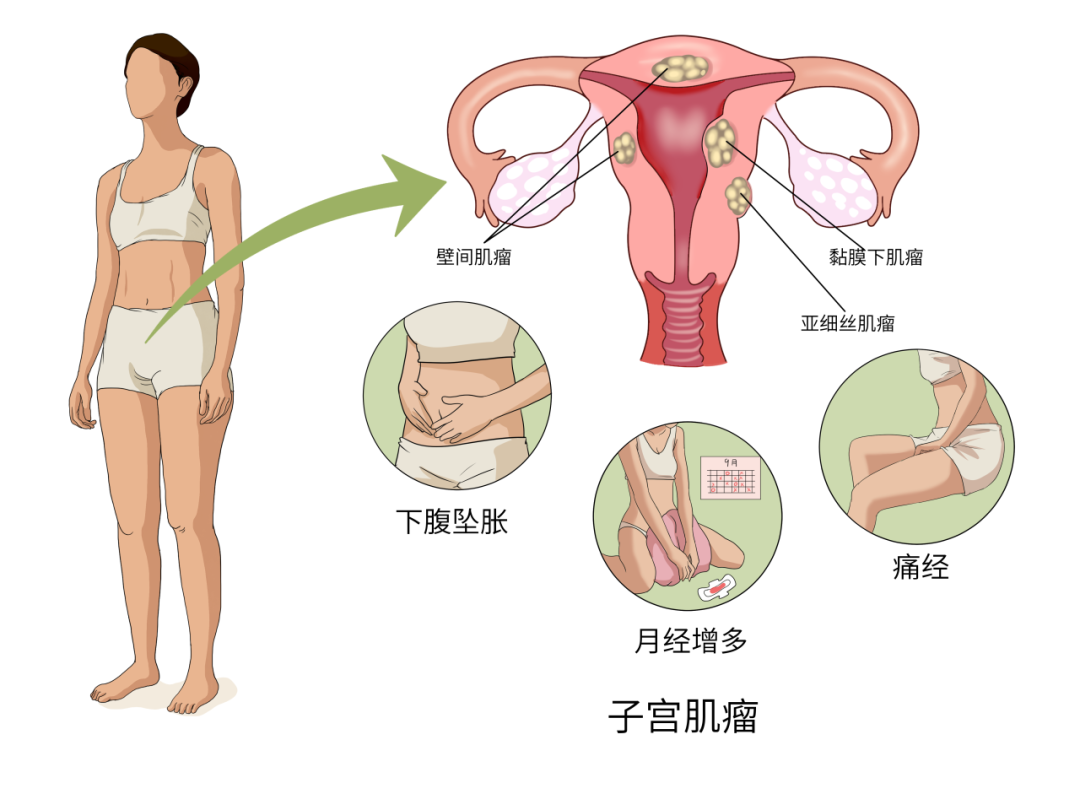 微信图片_20250825104427.png