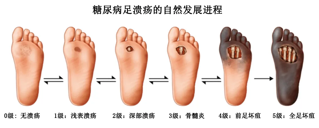 微信图片_20250825160707.png