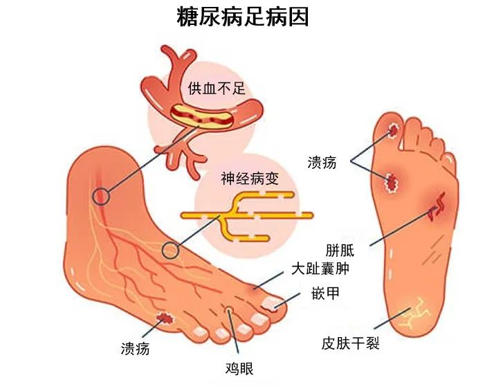 微信图片_20250825161734.png