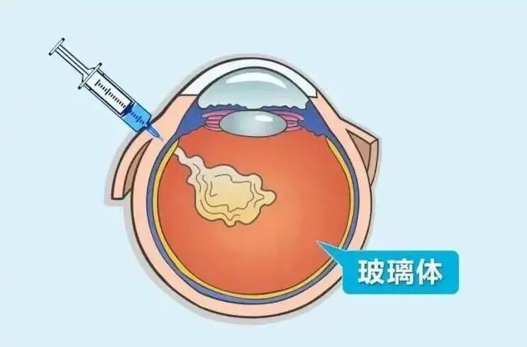 微信图片_2025-09-01_110754_411.jpg