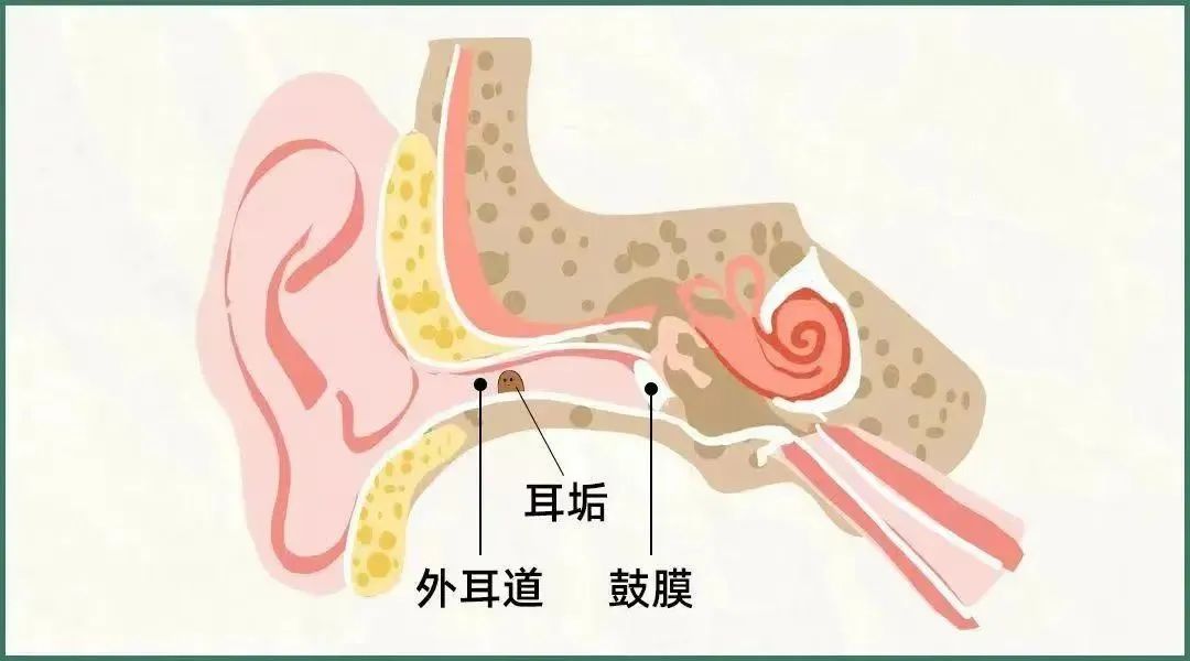 微信图片_2025-08-28_110722_506.jpg