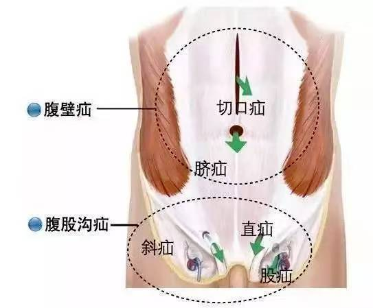 微信图片_2025-09-23_102211_254.png