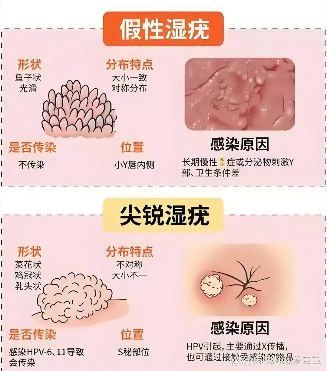 图片33.jpg