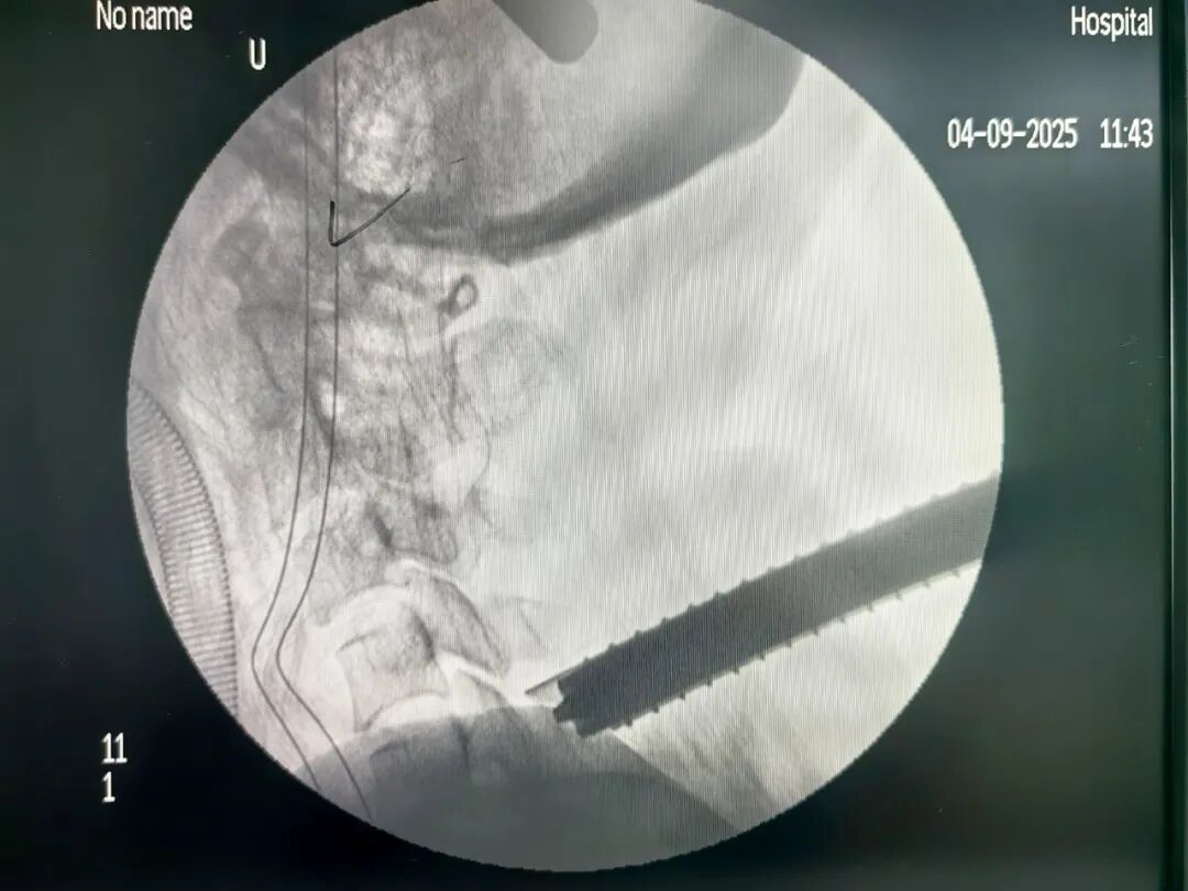 微信图片_20250919101343_24_447.jpg