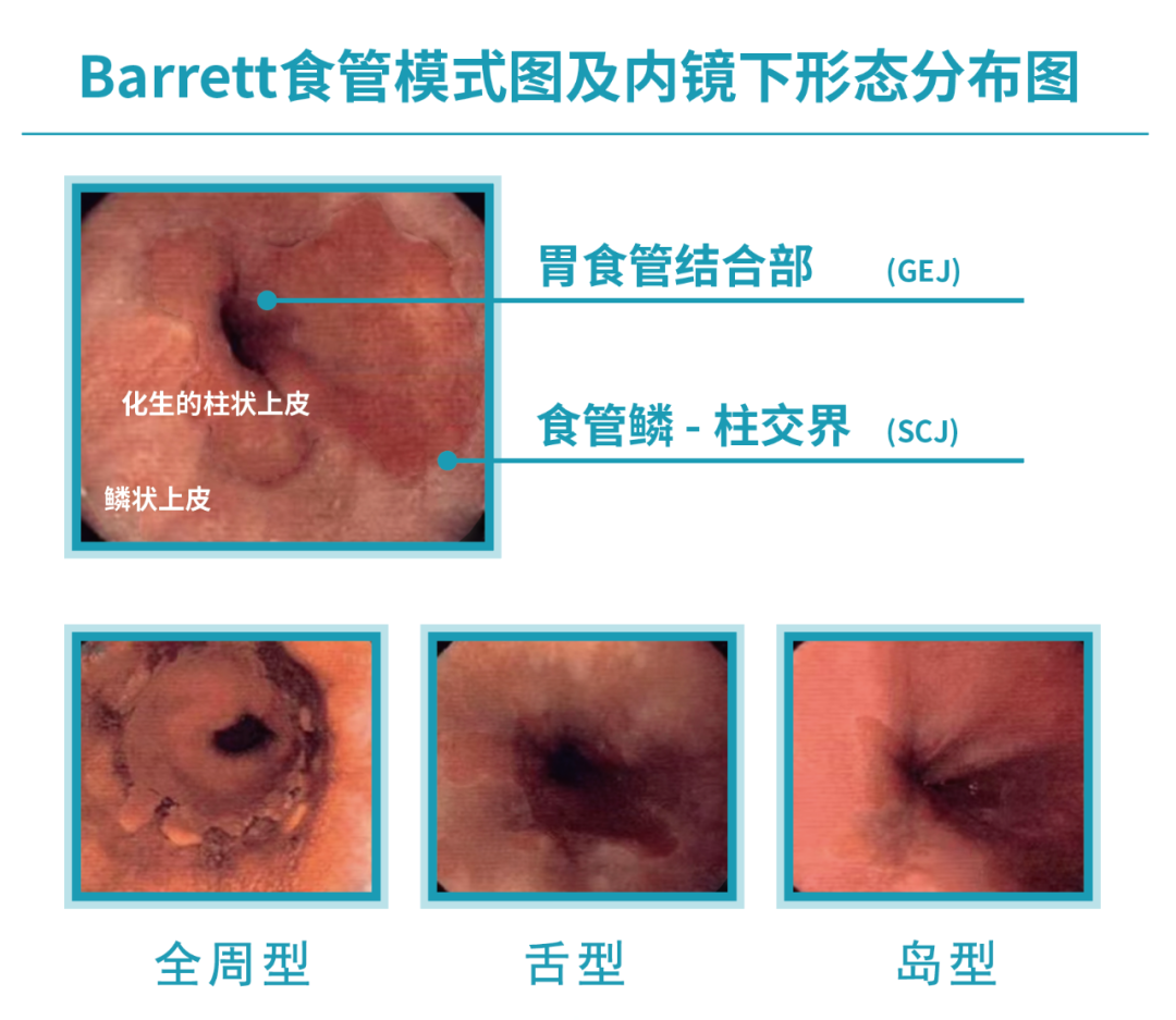 微信图片_20250929155959_83_70.png