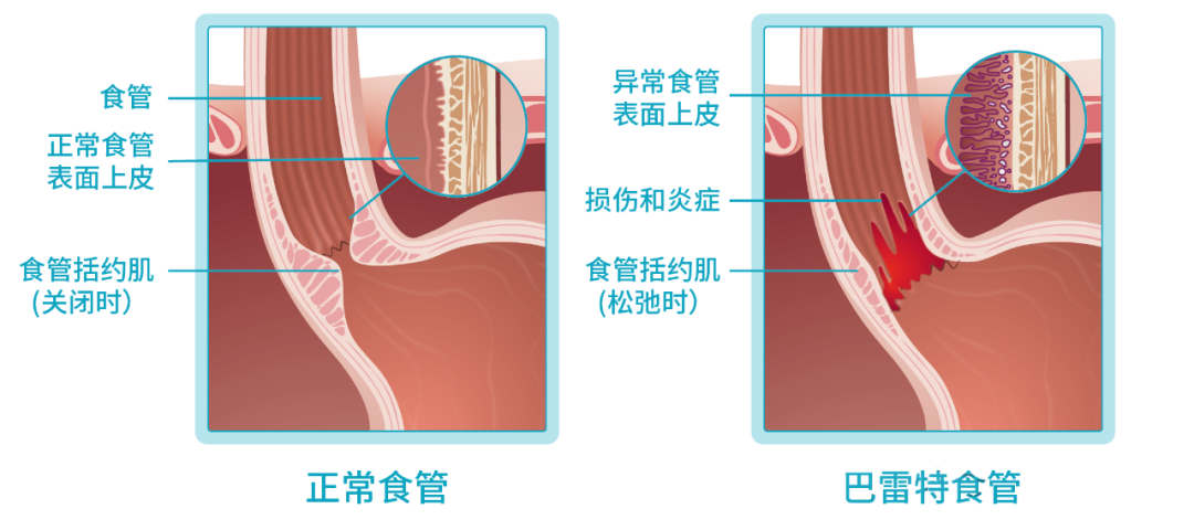 微信图片_20250929153331_77_70.png